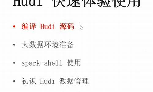 hudi 源码